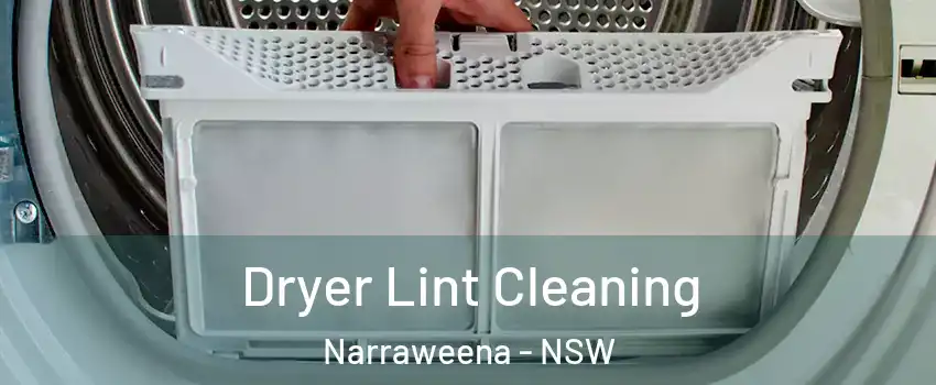 Dryer Lint Cleaning Narraweena - NSW