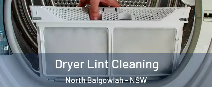 Dryer Lint Cleaning North Balgowlah - NSW