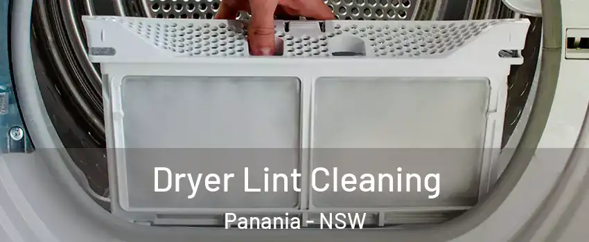Dryer Lint Cleaning Panania - NSW