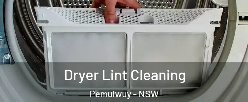 Dryer Lint Cleaning Pemulwuy - NSW