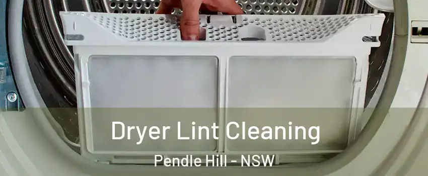Dryer Lint Cleaning Pendle Hill - NSW