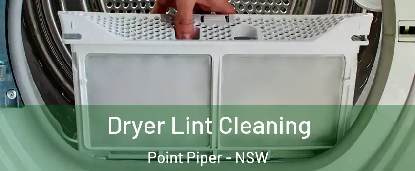Dryer Lint Cleaning Point Piper - NSW