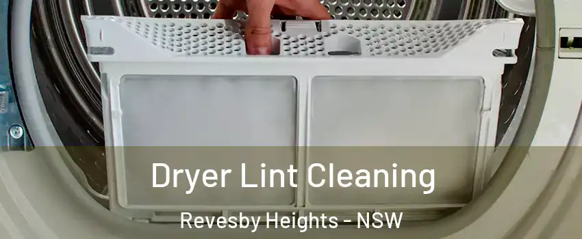 Dryer Lint Cleaning Revesby Heights - NSW