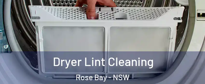 Dryer Lint Cleaning Rose Bay - NSW