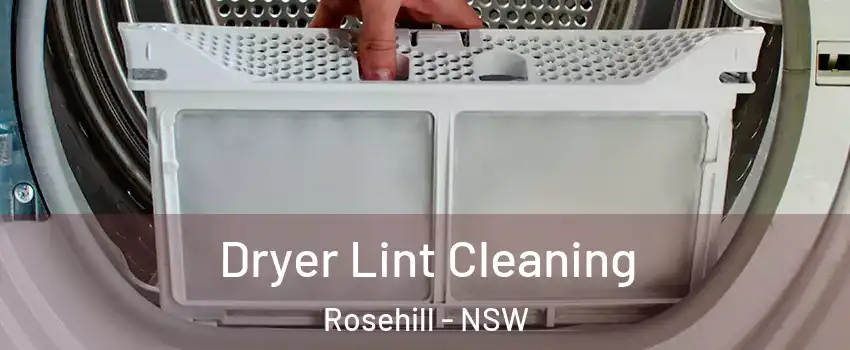 Dryer Lint Cleaning Rosehill - NSW