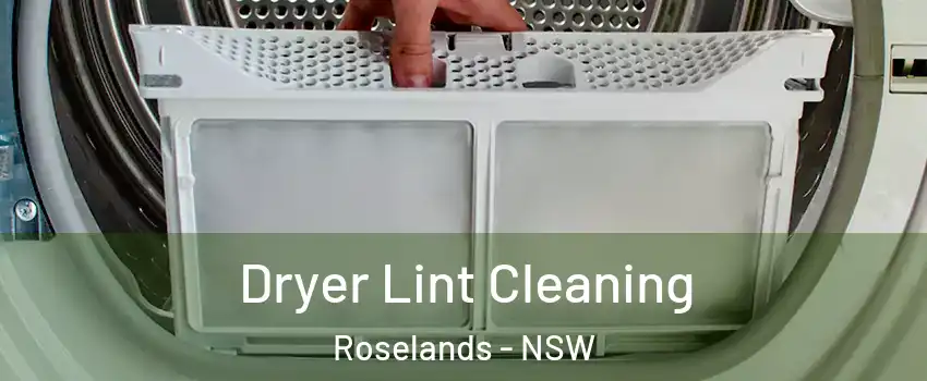 Dryer Lint Cleaning Roselands - NSW