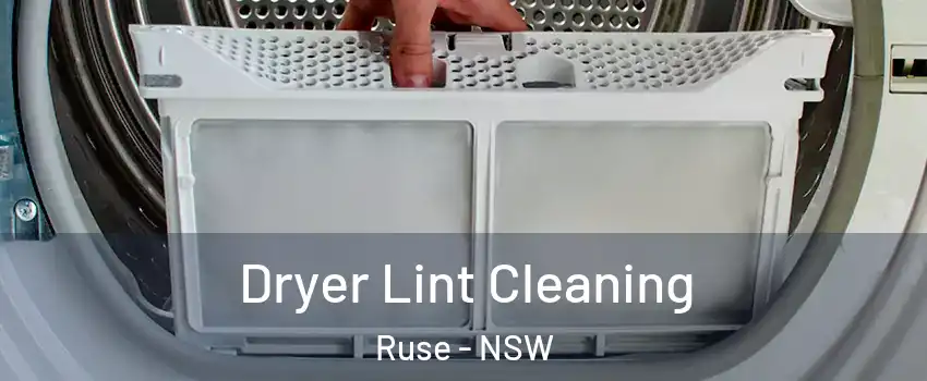 Dryer Lint Cleaning Ruse - NSW