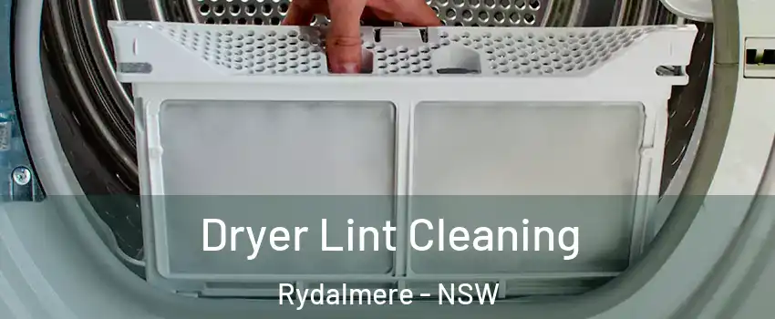 Dryer Lint Cleaning Rydalmere - NSW
