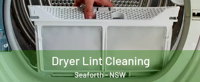 Dryer Lint Cleaning Seaforth - NSW