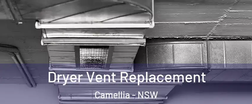 Dryer Vent Replacement Camellia - NSW
