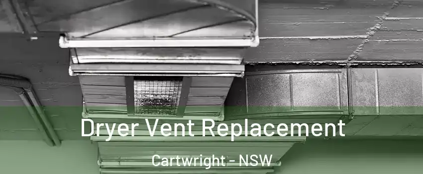 Dryer Vent Replacement Cartwright - NSW