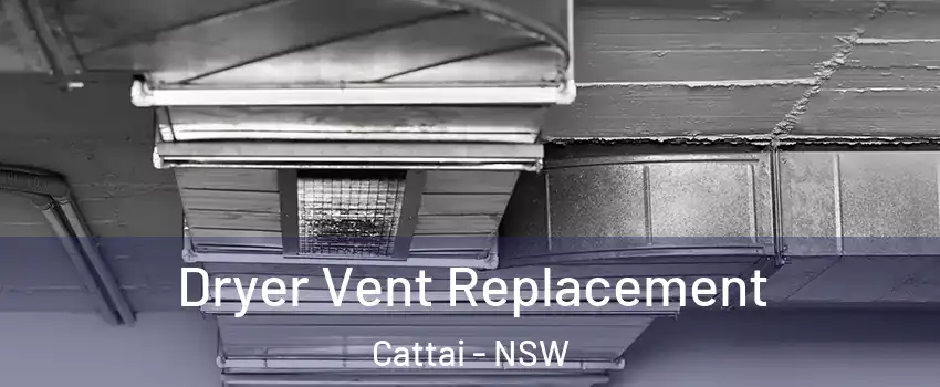 Dryer Vent Replacement Cattai - NSW