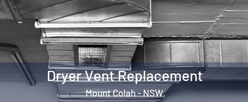 Dryer Vent Replacement Mount Colah - NSW