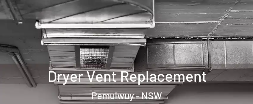 Dryer Vent Replacement Pemulwuy - NSW