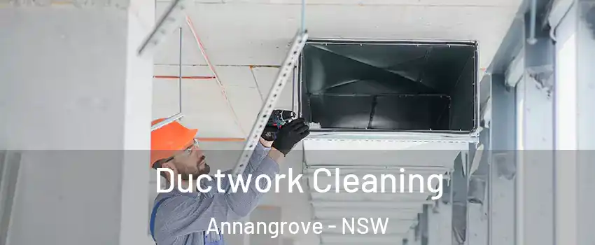 Ductwork Cleaning Annangrove - NSW