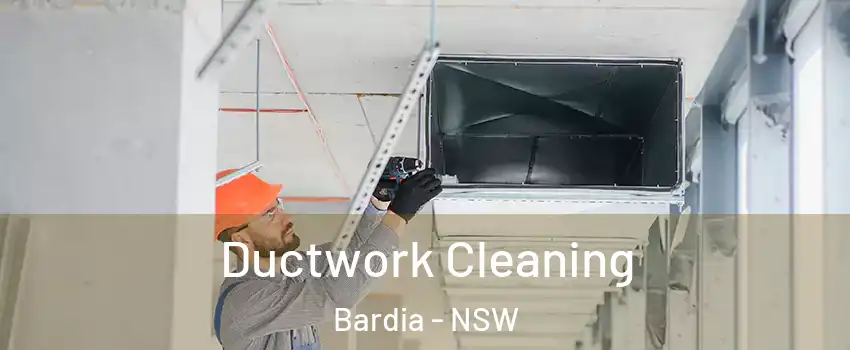 Ductwork Cleaning Bardia - NSW