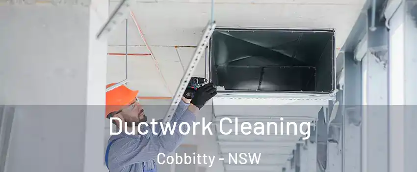 Ductwork Cleaning Cobbitty - NSW