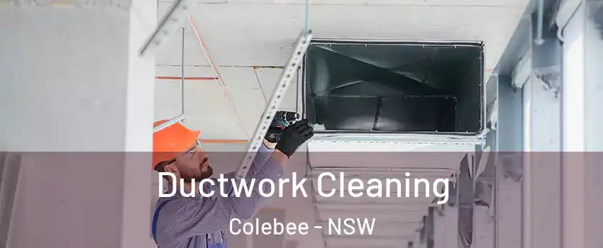 Ductwork Cleaning Colebee - NSW