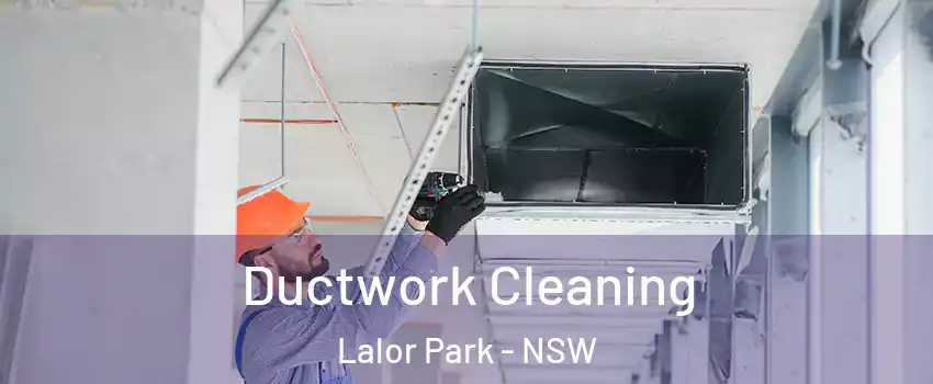 Ductwork Cleaning Lalor Park - NSW