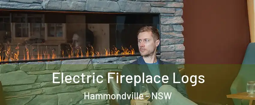 Electric Fireplace Logs Hammondville - NSW