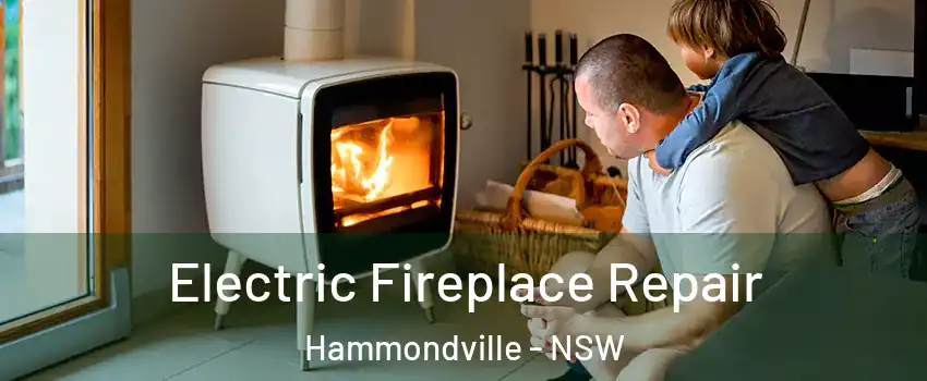 Electric Fireplace Repair Hammondville - NSW