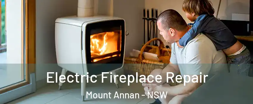 Electric Fireplace Repair Mount Annan - NSW