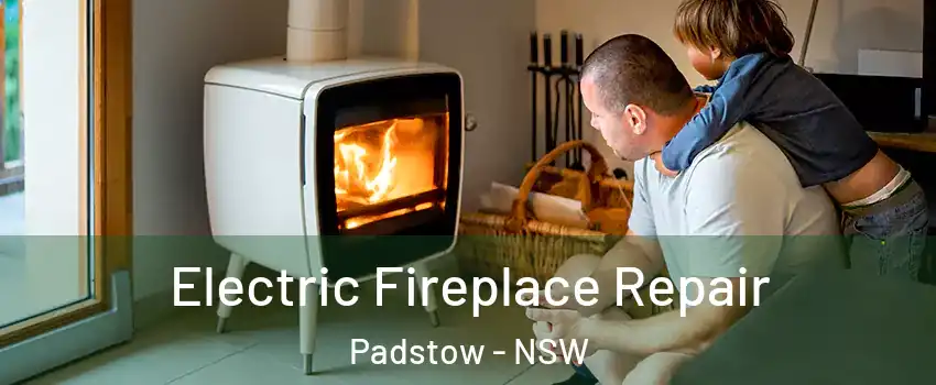 Electric Fireplace Repair Padstow - NSW