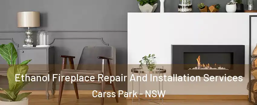 Ethanol Fireplace Repair And Installation Services Carss Park - NSW