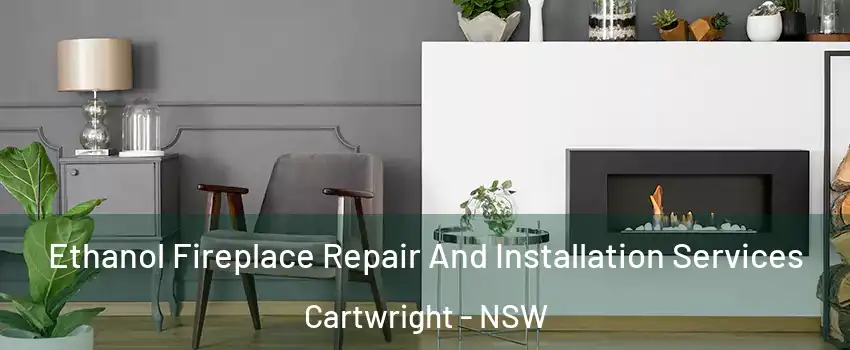 Ethanol Fireplace Repair And Installation Services Cartwright - NSW