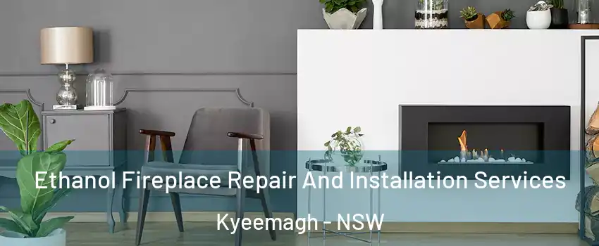 Ethanol Fireplace Repair And Installation Services Kyeemagh - NSW