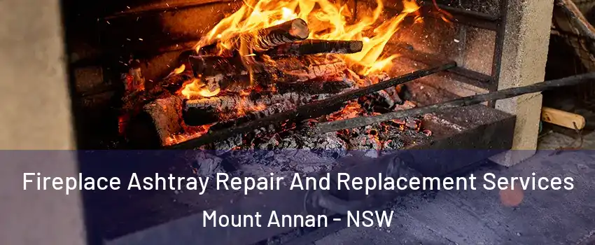 Fireplace Ashtray Repair And Replacement Services Mount Annan - NSW