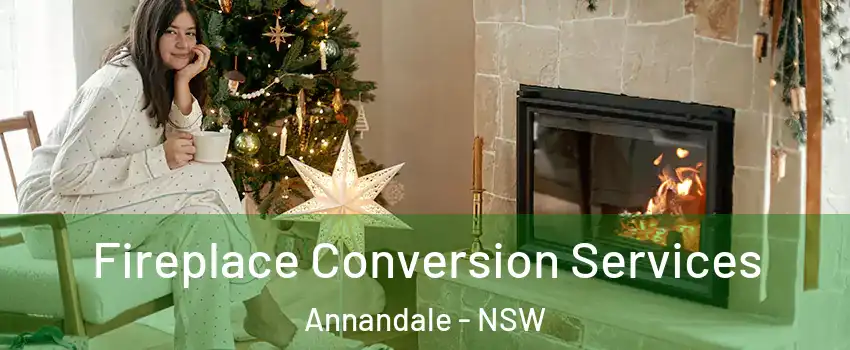 Fireplace Conversion Services Annandale - NSW