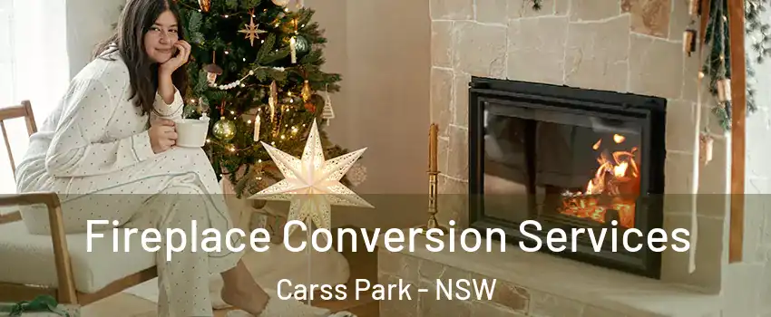 Fireplace Conversion Services Carss Park - NSW