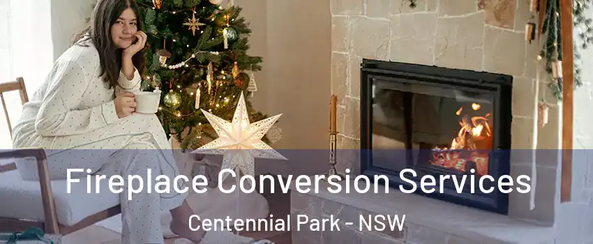 Fireplace Conversion Services Centennial Park - NSW
