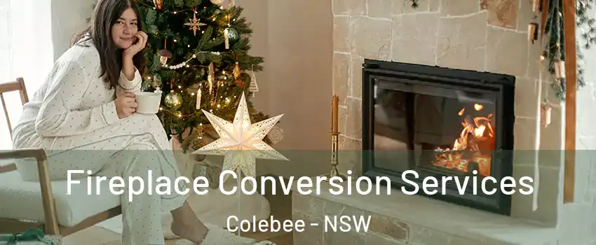 Fireplace Conversion Services Colebee - NSW