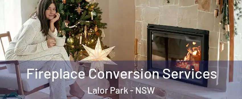 Fireplace Conversion Services Lalor Park - NSW