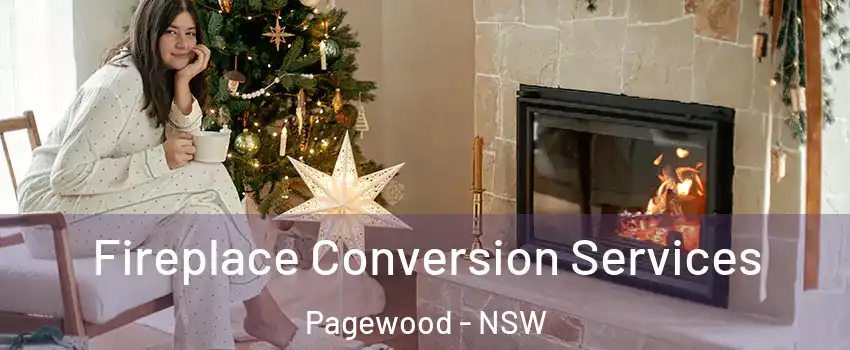 Fireplace Conversion Services Pagewood - NSW