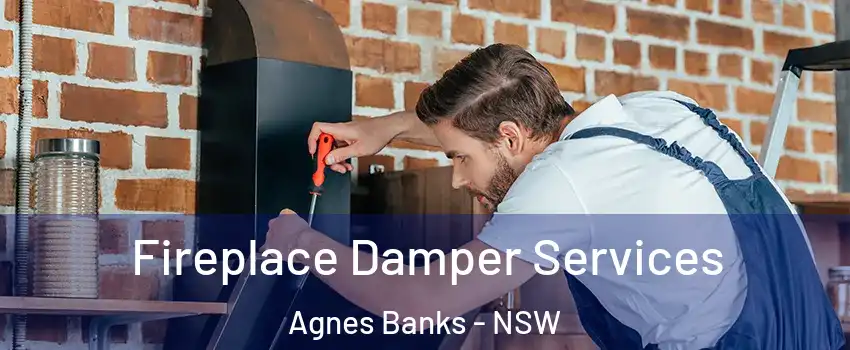Fireplace Damper Services Agnes Banks - NSW