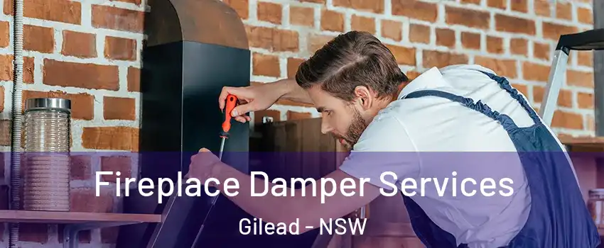 Fireplace Damper Services Gilead - NSW