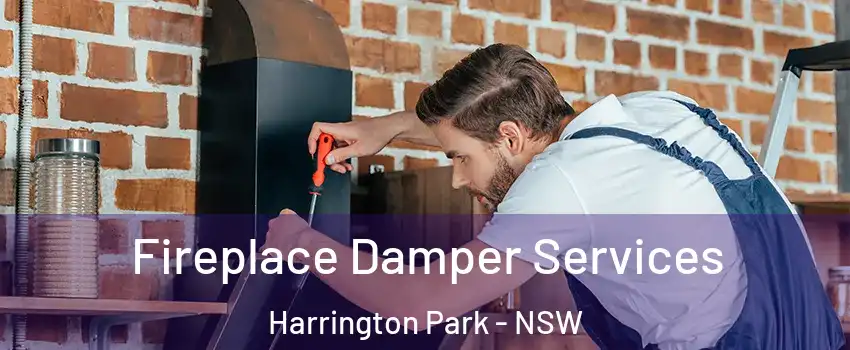 Fireplace Damper Services Harrington Park - NSW