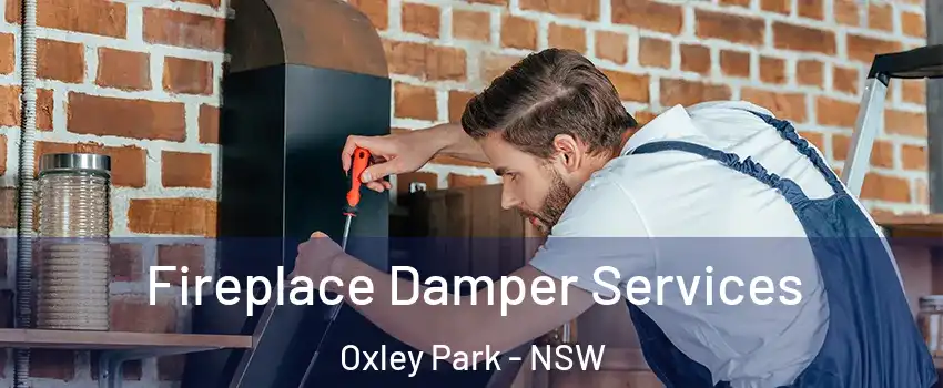 Fireplace Damper Services Oxley Park - NSW