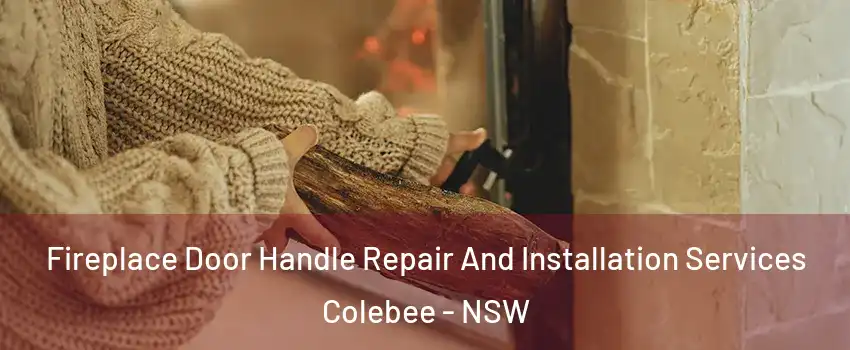 Fireplace Door Handle Repair And Installation Services Colebee - NSW