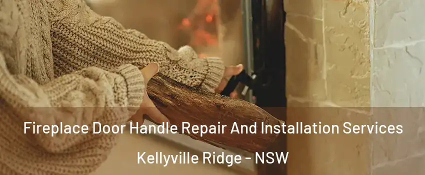 Fireplace Door Handle Repair And Installation Services Kellyville Ridge - NSW