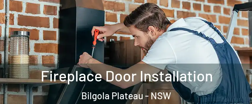 Fireplace Door Installation Bilgola Plateau - NSW