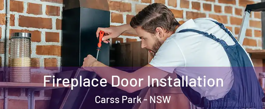 Fireplace Door Installation Carss Park - NSW