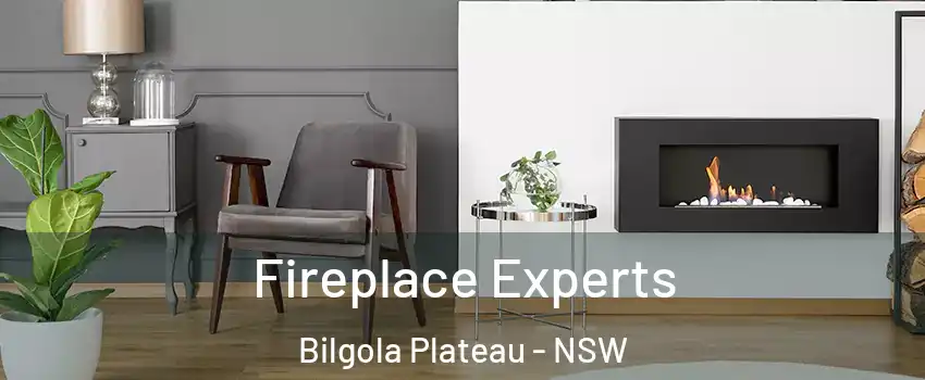 Fireplace Experts Bilgola Plateau - NSW