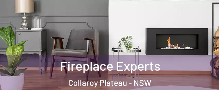  Fireplace Experts Collaroy Plateau - NSW