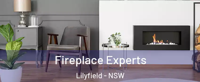 Fireplace Experts Lilyfield - NSW