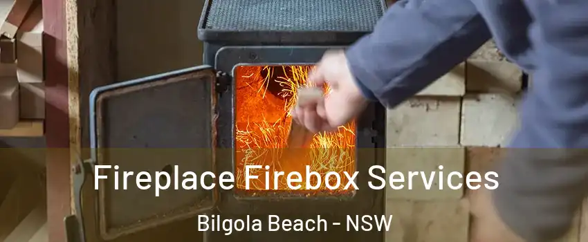 Fireplace Firebox Services Bilgola Beach - NSW
