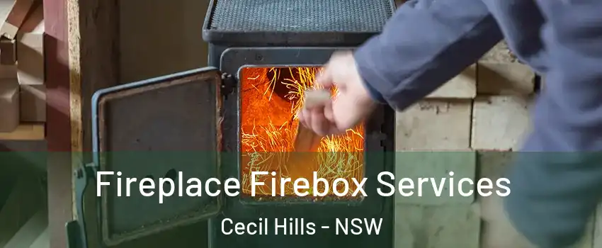 Fireplace Firebox Services Cecil Hills - NSW